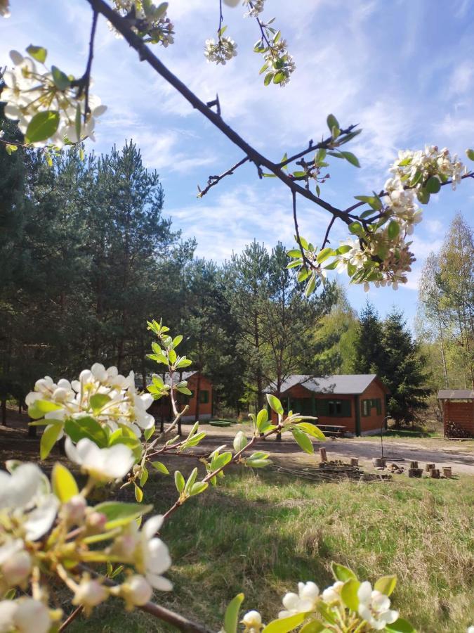 Agroturystyka Oaza Ciszy I Spokoju Miedzychod Eksteriør billede