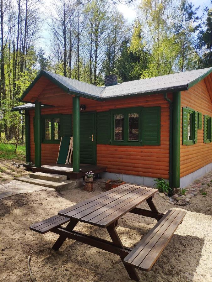 Agroturystyka Oaza Ciszy I Spokoju Miedzychod Eksteriør billede