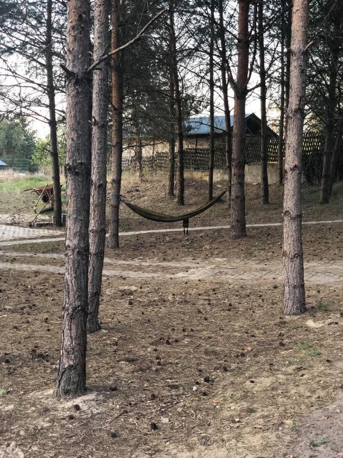 Agroturystyka Oaza Ciszy I Spokoju Miedzychod Eksteriør billede